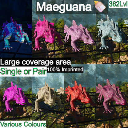 Maeguana Max Level 362 🍼