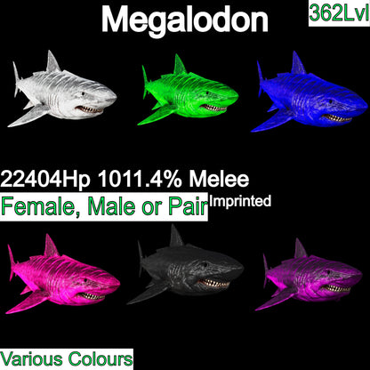 Megalodon Top Stats 362Lvl