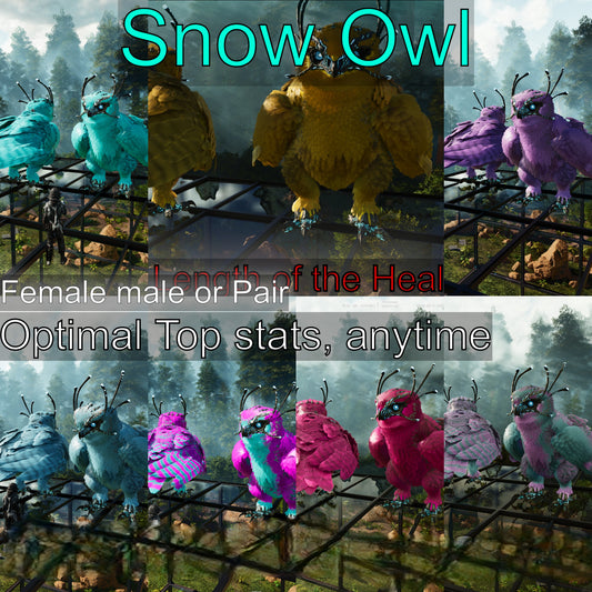 Snow Owl Max Level 362 / Solids / TOP STATS