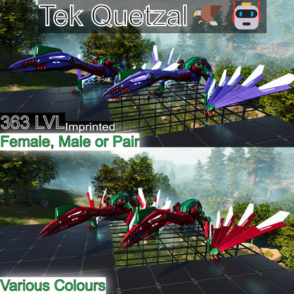 Tek Quetzal Level 363