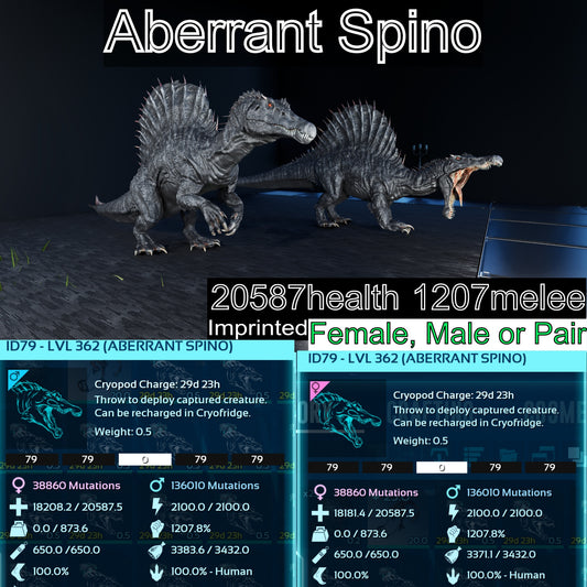 🏷️  Abberant Spino Max Level 362 🏷️