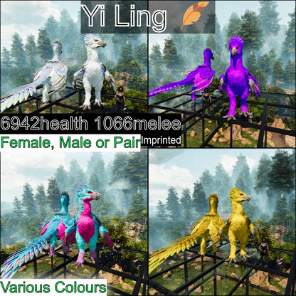 🏷️ Yi Ling - Max Level 362 🏷️