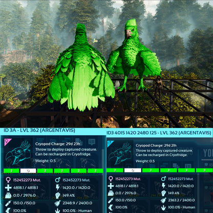 Argentavis / Argy Max Level 362