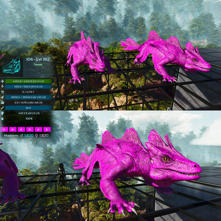 Maeguana Max Level 362 🍼 – My Ark Ascended