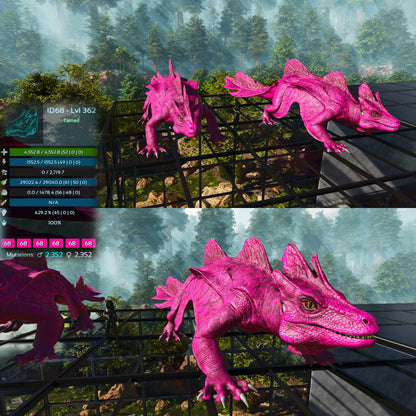 Maeguana Max Level 362 🍼