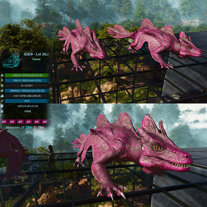 Maeguana Max Level 362 🍼