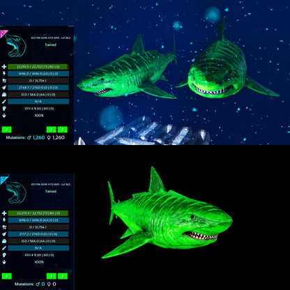 Megalodon Top Stats 362Lvl