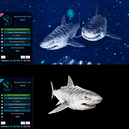 Megalodon Top Stats 362Lvl
