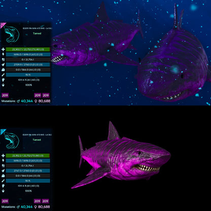 Megalodon Top Stats 362Lvl