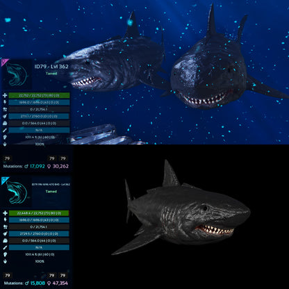Megalodon Top Stats 362Lvl