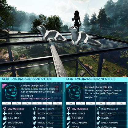 Aberrant Otter Max Level 362