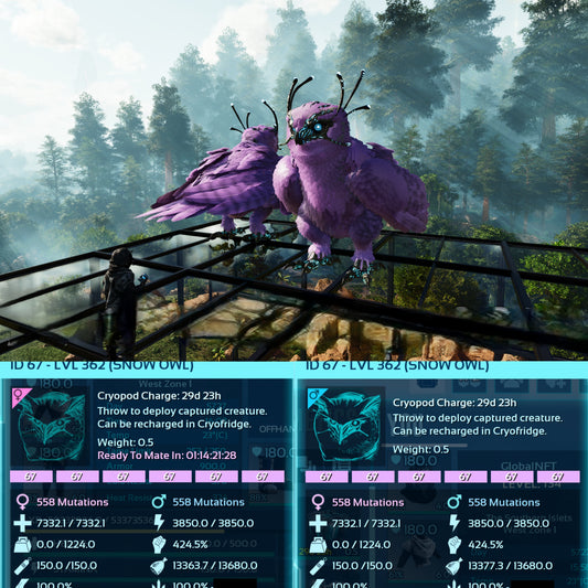 Snow Owl Max Level 362 / Solids / TOP STATS