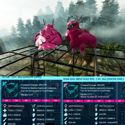 Snow Owl Max Level 362 / Solids / TOP STATS