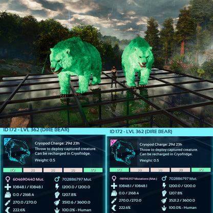 Dire Bear Max Level 362