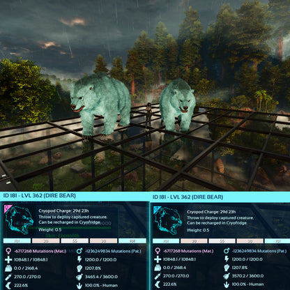 Dire Bear Max Level 362