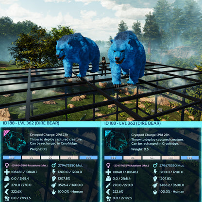 Dire Bear Max Level 362