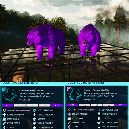 Dire Bear Max Level 362