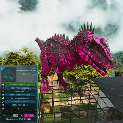 🏷️ Carcharodontosaurus / Carcharo 1078dmg imprint 🏷️