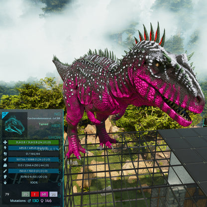 🏷️ Carcharodontosaurus / Carcharo 1078dmg imprint 🏷️