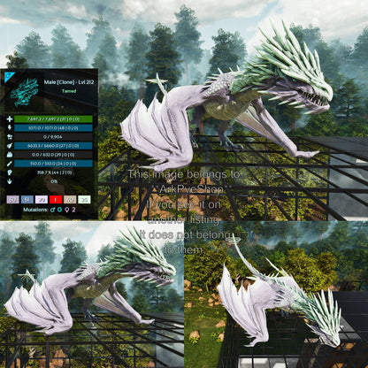 Ice Wyvern Clone High LVL Dragon