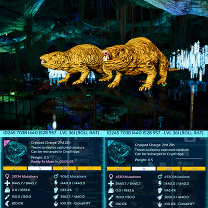 Roll Rat 1145Dmg Imprinted - 361 Level