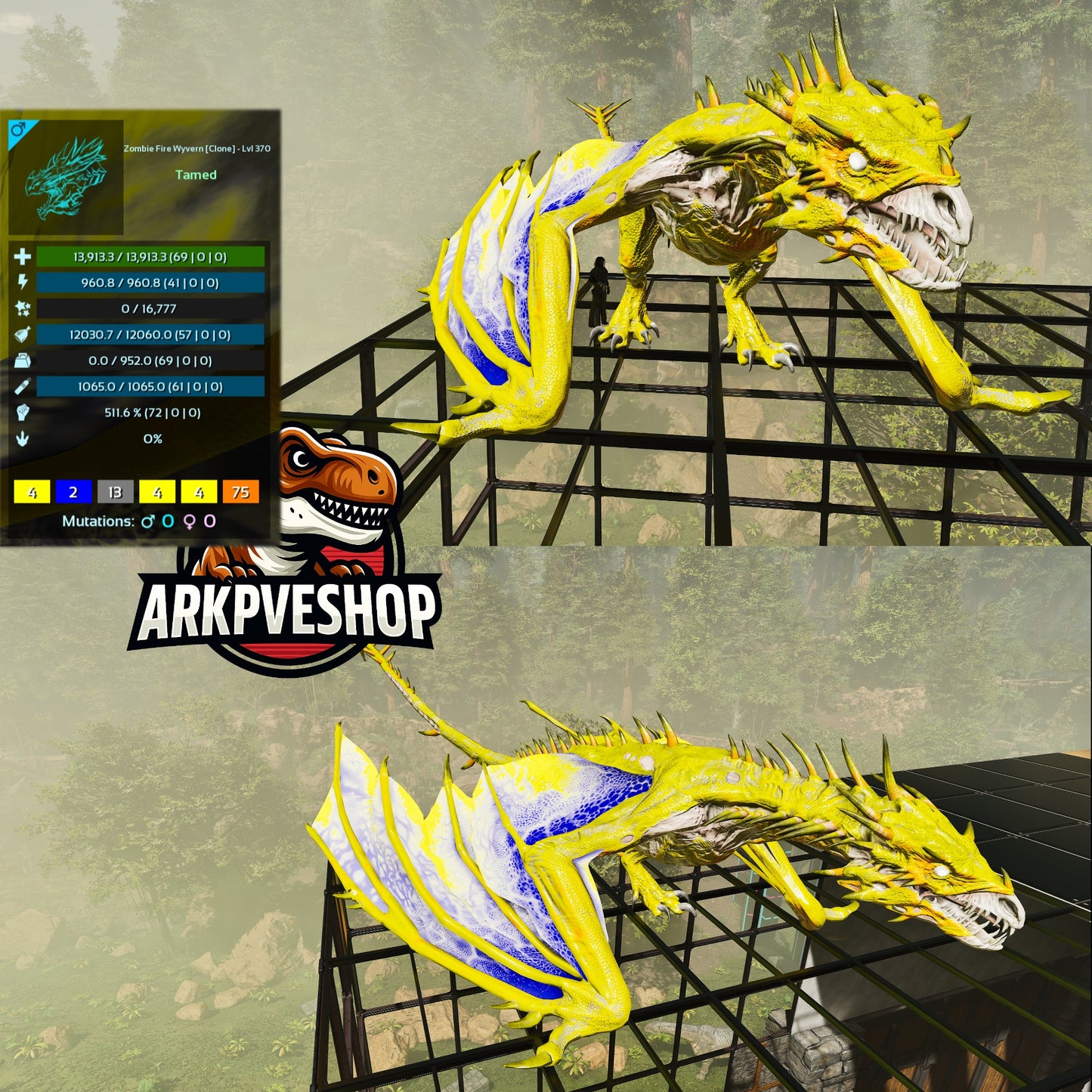 Zombie Wyvern - Clone / Event / High Level and Stats