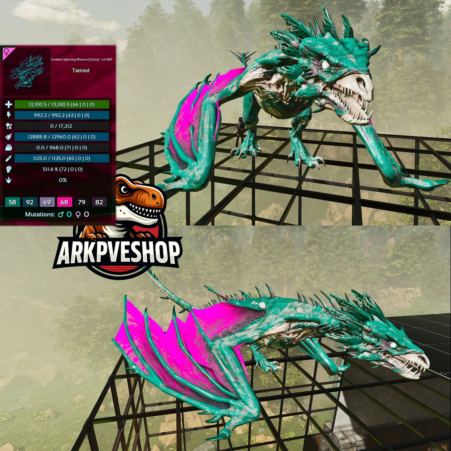 Zombie Wyvern - Clone / Event / High Level and Stats