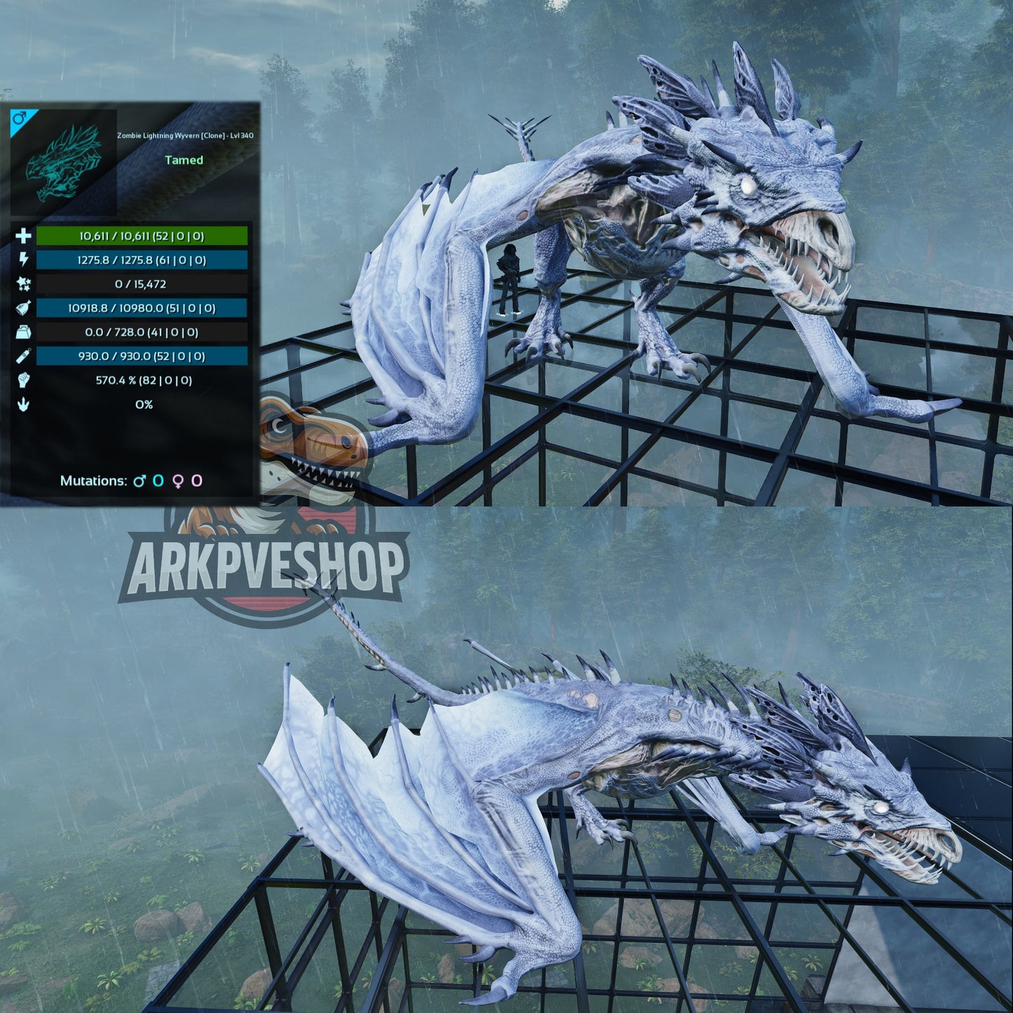 Zombie Wyvern - Clone / Event / High Level and Stats