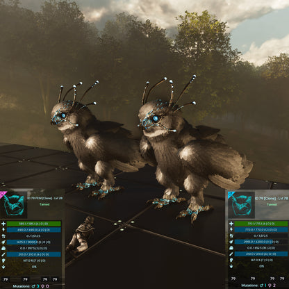 🏷️ Snow Owl -  Solid /  Clone  / Low Level 🏷️