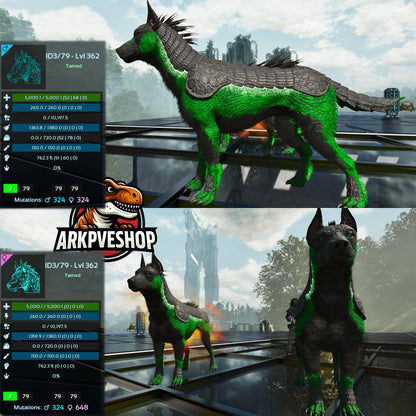 Armadoggo 362Lvl Top