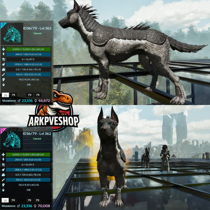 Armadoggo 362Lvl Top