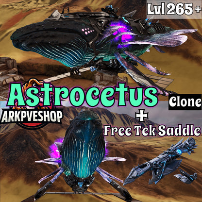 Astrocetus Clone High lvls