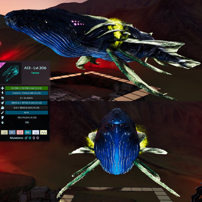 Astrocetus High lvls