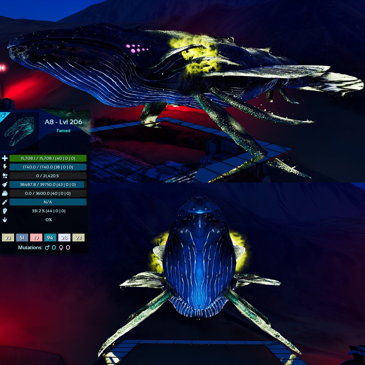 Astrocetus High lvls