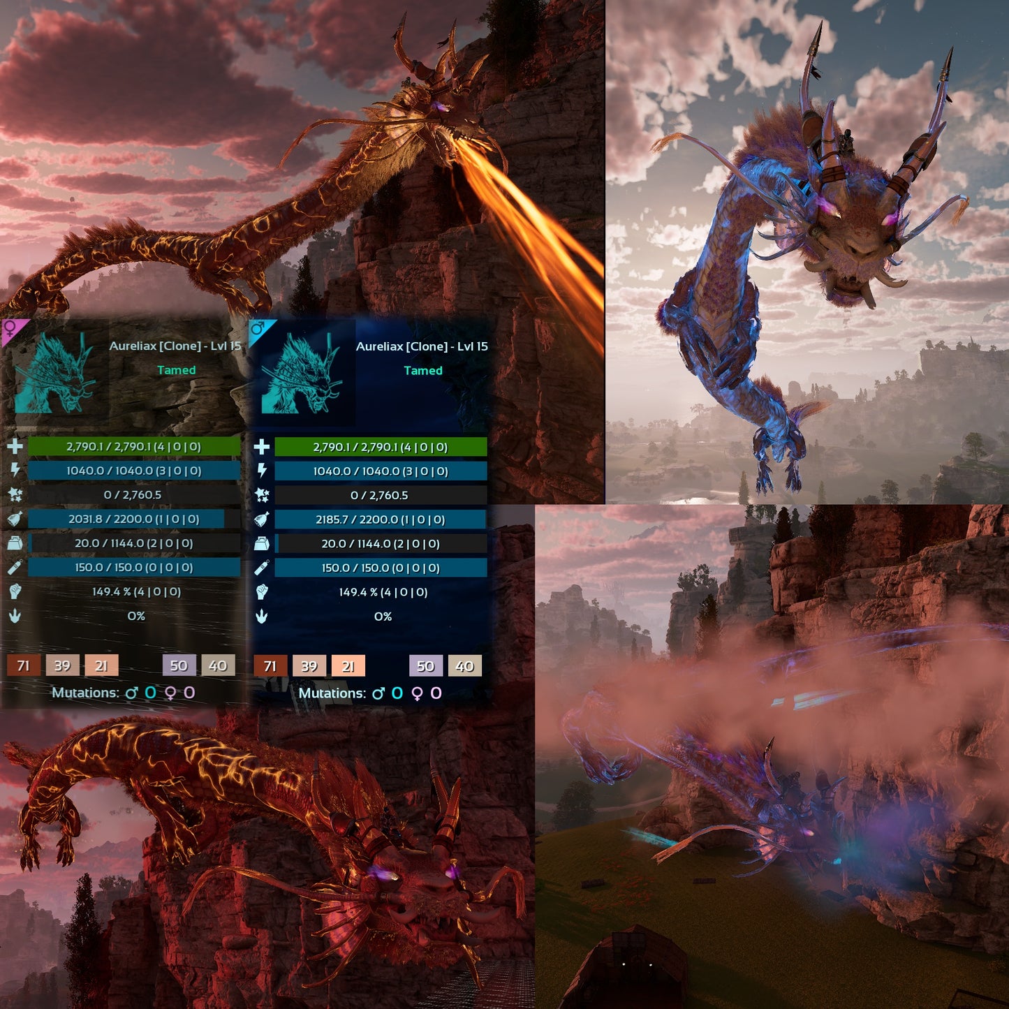 Aureliax Low&High Lvl Clone