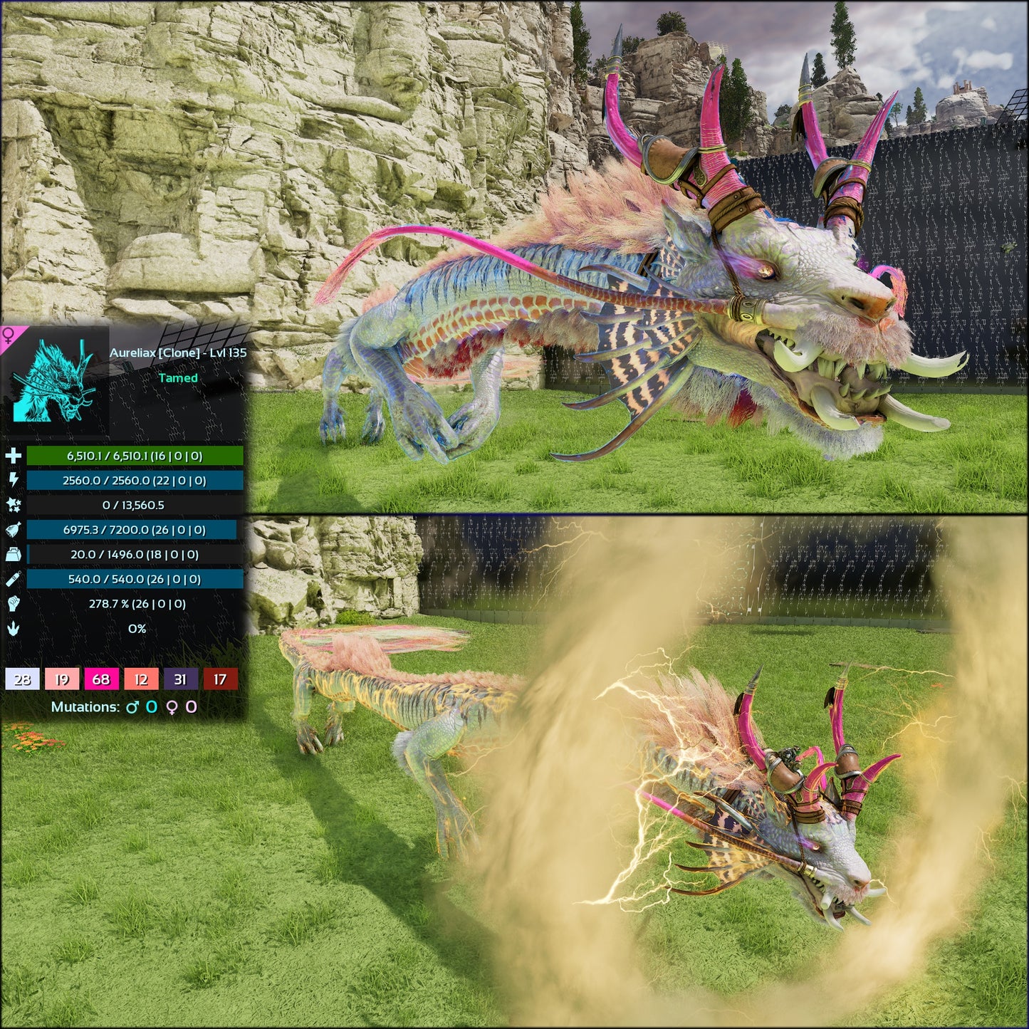 Aureliax Low&High Lvl Clone