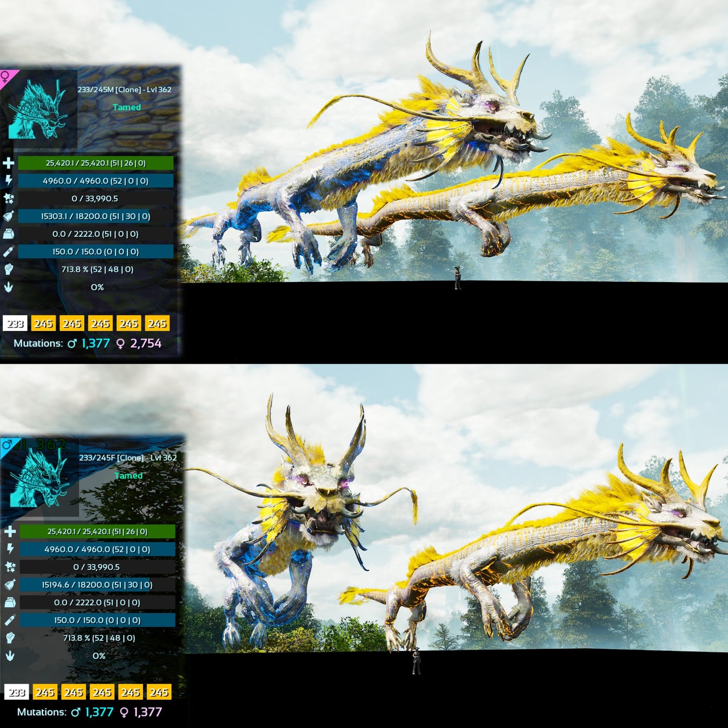 Aureliax Lvl 362 Colours Clone