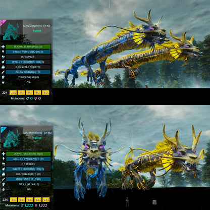 Aureliax Lvl 362 Colours Clone