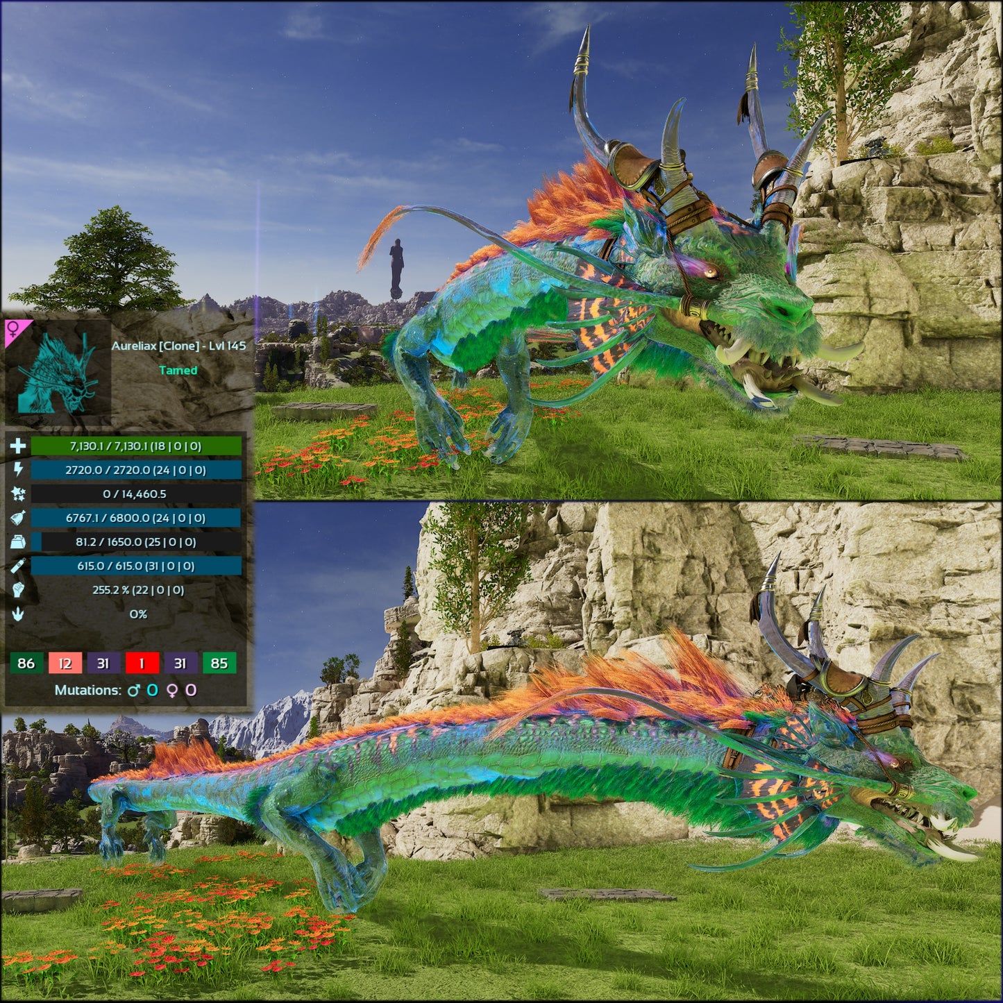 Aureliax Low&High Lvl Clone