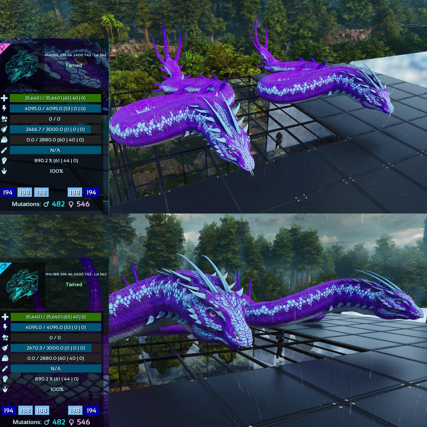 Basilisk Aberrant Dino / Max 362Level
