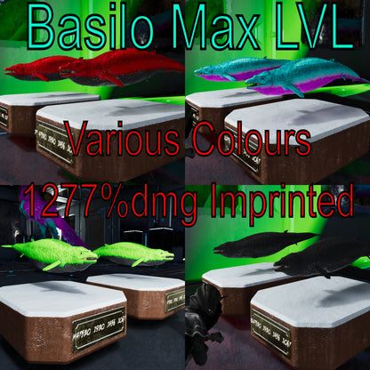 🏷️ Basilosaurus / Basilo 1277Dmg Imprinted 🏷️