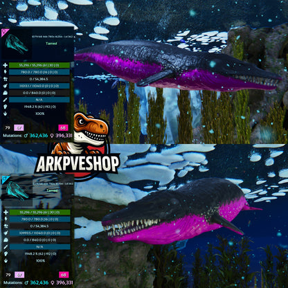 Basilosaurus 1948.2% melee