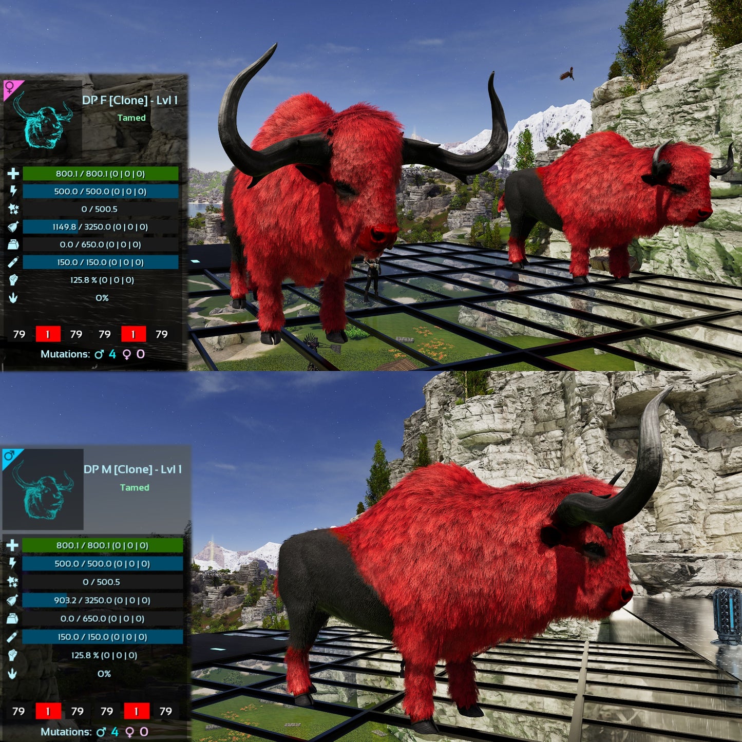 Bison Lvl 1 Best mixed Colours