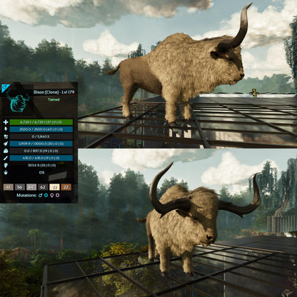 Bison Low&High Lvl Clone
