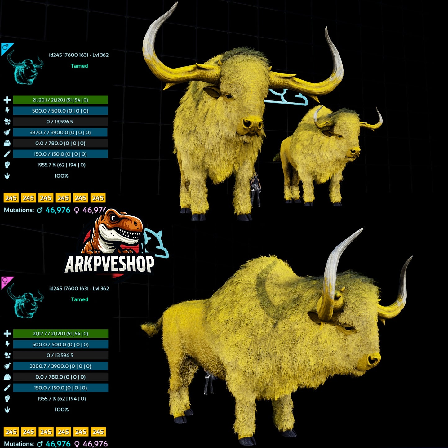 Bison 362Lvl 1955.7% Melee