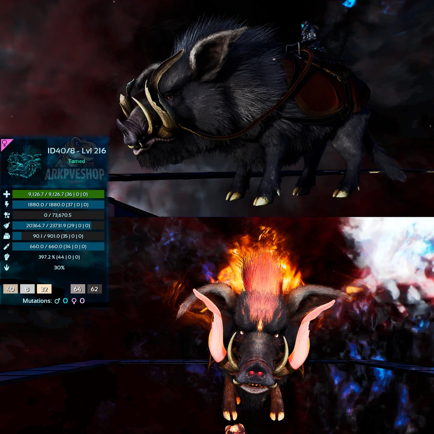 Boaratos Low&High Lvl Clone