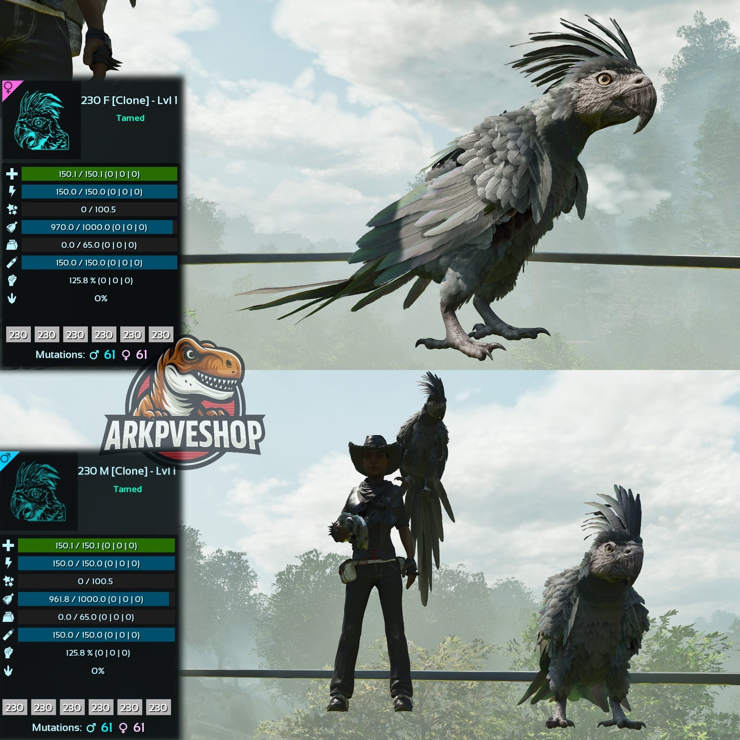 Parrot Lvl 1 Clone