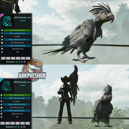 Parrot Lvl 1 Clone