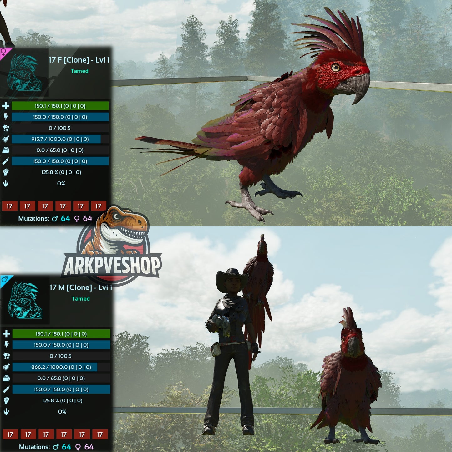 Parrot Lvl 1 Clone