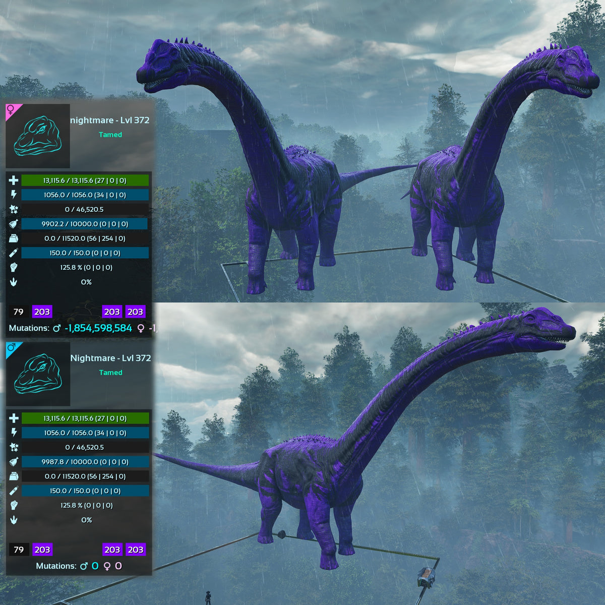 Brontosaurus Top Weight Lvl 372